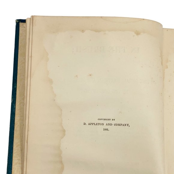 In The Brush Hamilton Pierson 1881 Book 1st Edition Social Political Religious - Picture 9 of 16